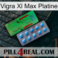 Vigra Xl Max Platinum new03